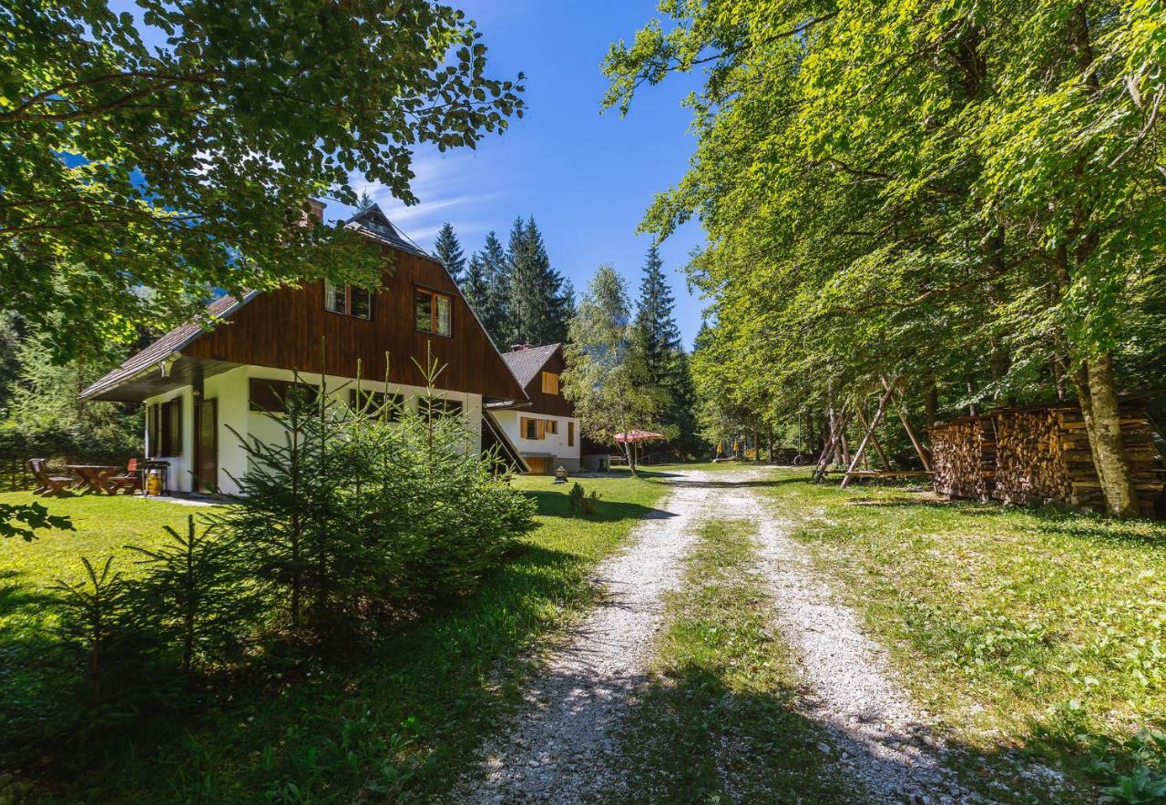 Villa Pocitniska Hisa Radovna Zgornja Radovna Exterior foto