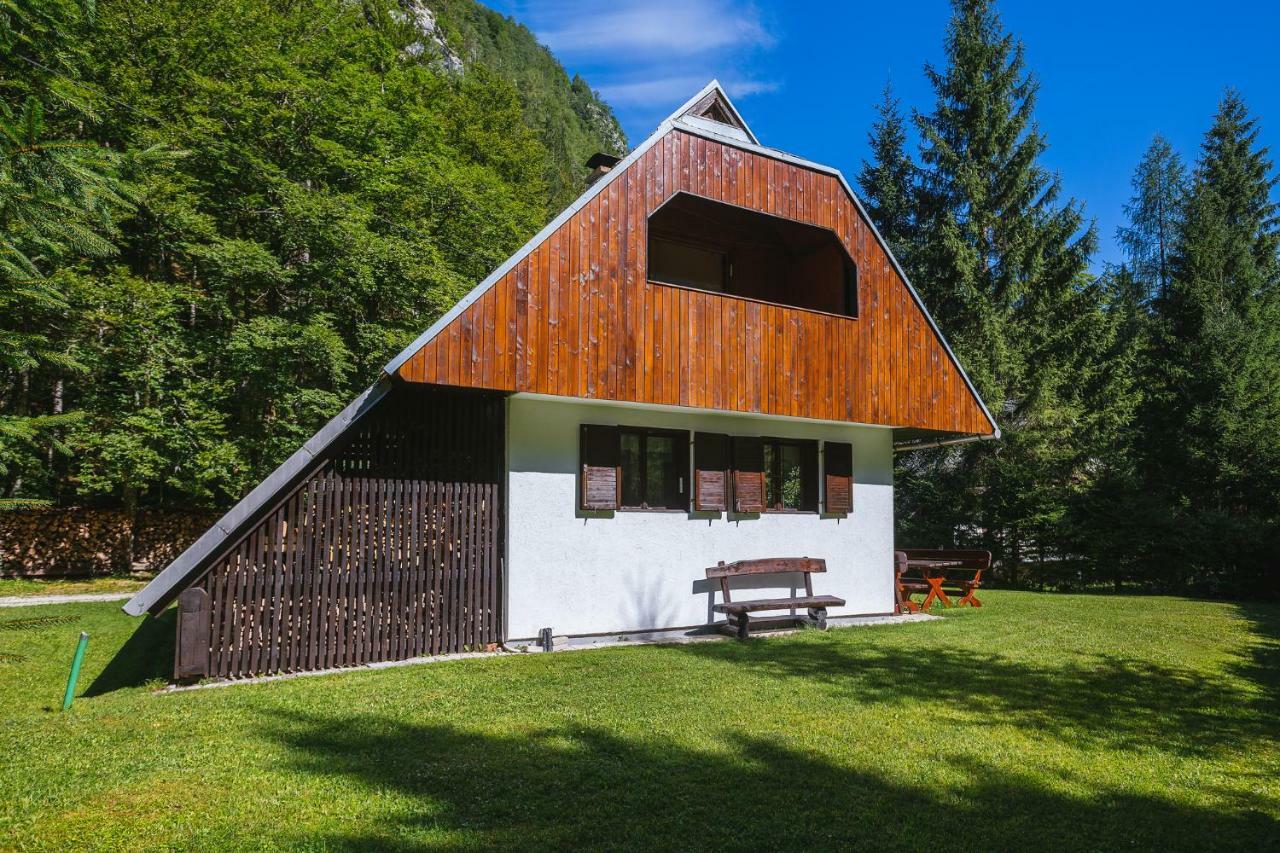 Villa Pocitniska Hisa Radovna Zgornja Radovna Exterior foto